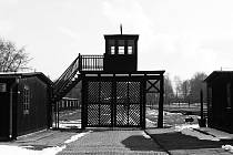 Zbytky koncentračního tábora ve Stutthofu, kde se vraždilo i po osvobození Osvětimi