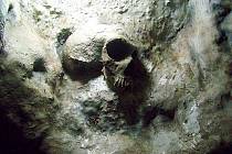 Replika neandertálské lebky, nalezené v jeskyni Svatého Michaela na Gibraltaru