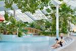 Bazén akvaparku Mariba obklopují tropické rostliny