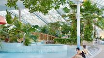 Bazén akvaparku Mariba obklopují tropické rostliny