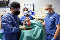 Lékaři z University of Maryland uskutečnili unikátní operaci. Pacientovi transplantovali prasečí srdce. Snímek pochází přímo ze zákroku.