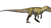 Mezi teropody, tedy tříprsté masožravé dinosaury, patřil i Torvosaurus.