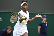 Venus Williamsová na Wimbledonu.