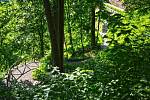 Kromě ovocných stromů jsou na svazích Pernštejnské zahrady vysazeny pouze původní druhy dřevin, jako jsou buky, lípy, javory a tisy