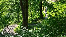 Kromě ovocných stromů jsou na svazích Pernštejnské zahrady vysazeny pouze původní druhy dřevin, jako jsou buky, lípy, javory a tisy