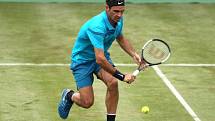 Roger Federer na svém oblíbeném povrchu.