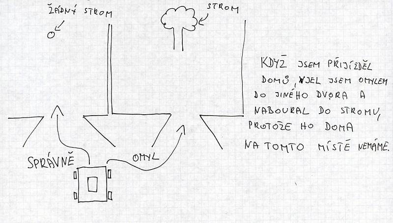 Pokud si však stále lámete hlavu, jak je možné nabourat do stromu na dvoře vašeho souseda, nejste sami...