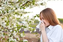 Alergie je do značné míry dědičně podmíněná, ale významnou roli nepochybně hrají i vlivy prostředí, a může se projevovat velmi různou intenzitou a rychlostí rozvoje akutních potíží