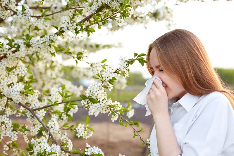 Alergie je do značné míry dědičně podmíněná, ale významnou roli nepochybně hrají i vlivy prostředí, a může se projevovat velmi různou intenzitou a rychlostí rozvoje akutních potíží.