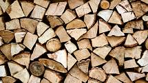 Topná sezona se blíží. Pokud využíváte dřevo a chcete se postarat o jeho přípravu vlastními silami, není času nazbyt. Letošní dřevo byste vlastně už měli mít připravené a soustředit se na zásoby pro další roky. 