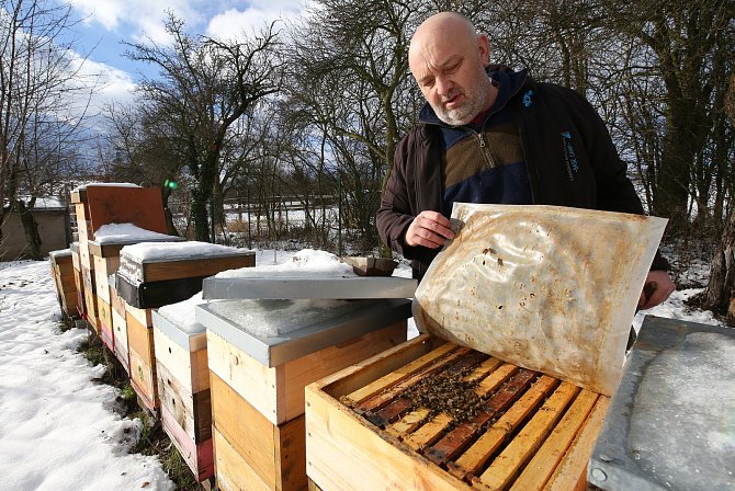 Včelaření propadl Aleš Pelikán jako desetiletý kluk, dnes se mu věnuje čtyři desetiletí