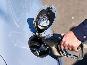 Ceny pohonných hmot rostou