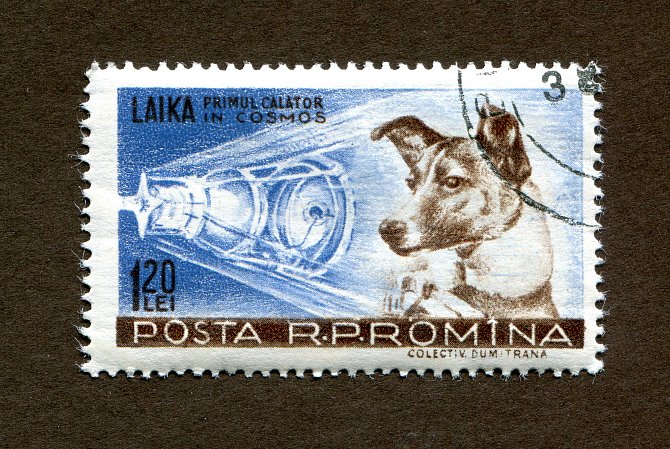 Vyráběly se známky a obálky s vyobrazením Lajky, stejně jako značkové cigarety a zápalky.