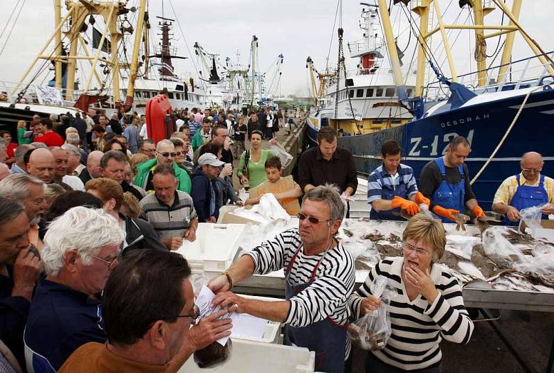 Belgičtí rybáři rozdali zdarma tunu platýzů na protest proti drané ropě.