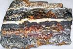 Australský stromatolit z období prekmabria (sbírka Cranbrookova vědeckého ústavu, Bloomfield Hills, Michigan, USA)