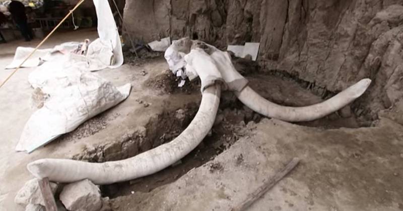 Jde dosud o největší naleziště mamutích koster, jaké kdy bylo objeveno