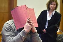 Soud v severoněmeckém Oldenburgu poslal dnes za dvojnásobnou vraždu na doživotí do vězení někdejšího pečovatele, který úmyslným podáním vysokých dávek léků na srdce vraždil své pacienty.