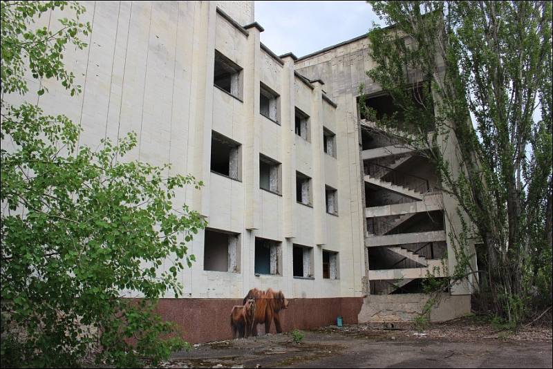 V uzavřené zóně na místě černobylské havárie se dnes daří fauně, budovy postupně pohltila příroda