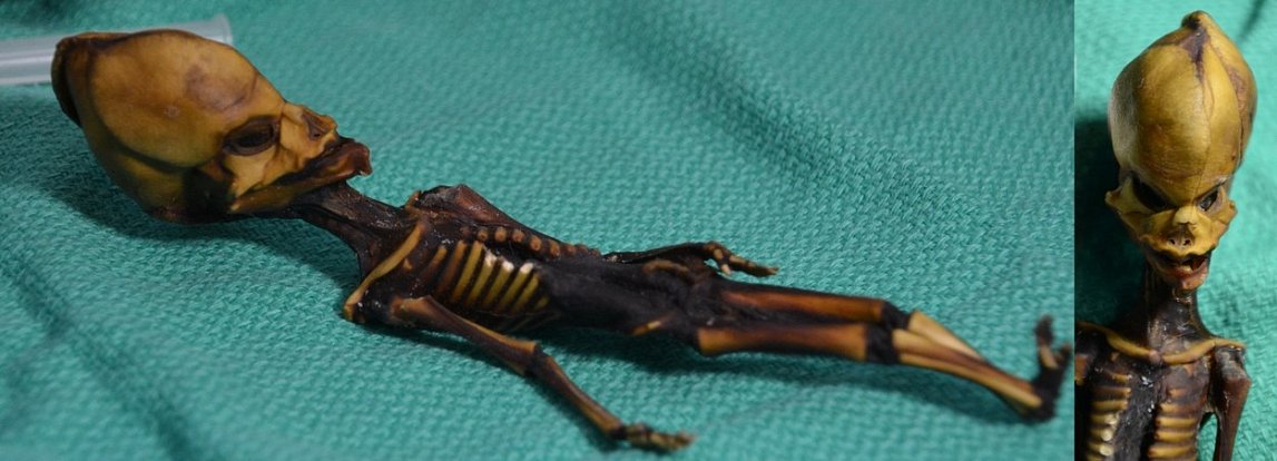 Záhada mumie z pouště Atacama: Vědci vyvrátili tvrzení, že kostra s podivnými proporcemi je mimozemského původu.