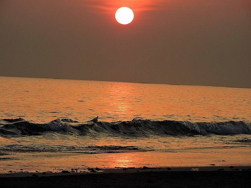 Pláž Radhanagar Beach v Indii se zařadila mezi seznam top světových pláží pro rok 2022. Turisté na ní oceňují čisté moře, krásné západy slunce i to, že je obklopená mangovníky.