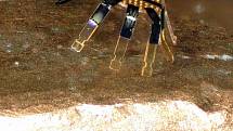 Američtí vědci představili nejmenšího robota na světě, který je schopen pohybu. Miniaturní robotický krab měří na šířku půl milimetru.