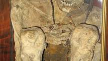 Marburské mumie jsou pravděpodobně pozůstatky lidí kultury Arica, žijících na území dnešního severního Chile kolem roku 1000