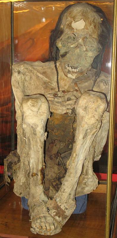 Marburské mumie jsou pravděpodobně pozůstatky lidí kultury Arica, žijících na území dnešního severního Chile kolem roku 1000