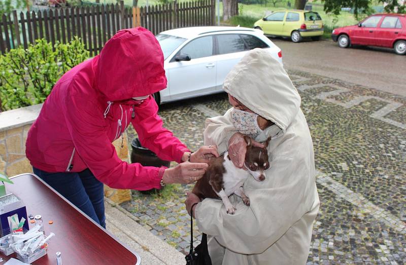 Pro psy bylo u nás pravidelné a povinné očkování proti vzteklině zavedeno už v roce 1953 a tato povinnost platí dodnes. Od loňského roku navíc platí, že aby byl záznam o vakcinaci proti vzteklině platný, musí být očkovaný pes také označený čipem