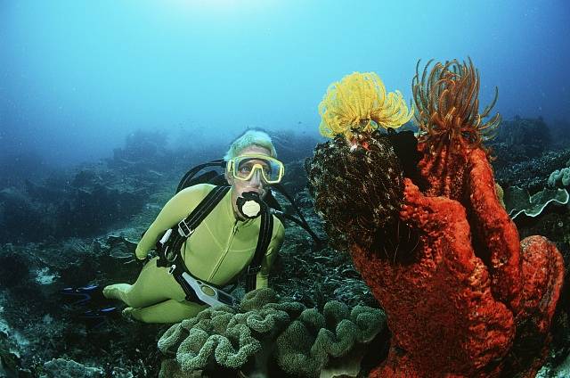 Korálový ostrov Raja Ampat.