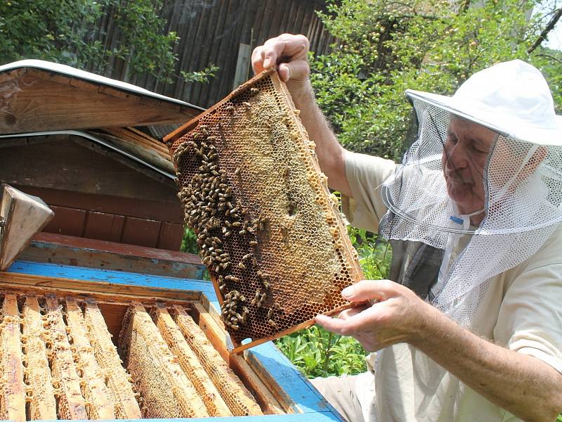 České včelařství, které patří co do počtu úlů i aktivních včelařů mezi světovou špičku, dostane další finanční injekci od českého státu i Evropské unie.