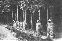 Poprava sedmi účastníků rumburské vzpoury v lese za Lesním hřbitovem v Novém Boru