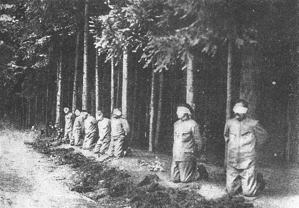 Poprava sedmi účastníků rumburské vzpoury v lese za Lesním hřbitovem v Novém Boru