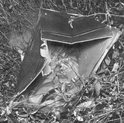 Krabice od kočárku, v níž se v roce 1957 našlo tělo čtyřletého hocha, na místě nálezu. Identitu zabitého hocha policisté dlouho neznali, a 65 let byl znám pouze jako Chlapec z krabice. Jmenoval se Joseph Augustus Zarelli, zjistili nyní policisté.