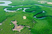Je Amazonka delší než Nil? Vědci chtějí odhalit pravdu.