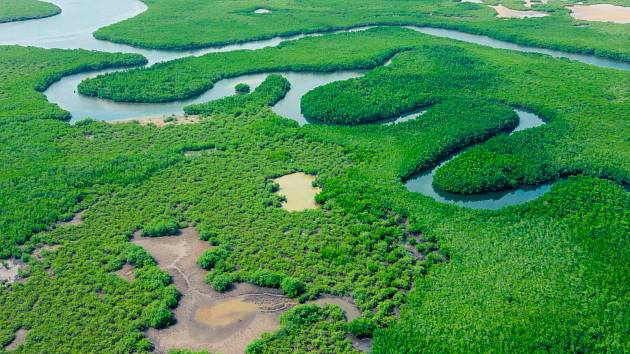 Je Amazonka delší než Nil? Vědci chtějí odhalit pravdu.