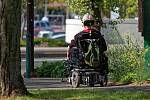 Handicap, invalidní vozík - Ilustrační foto