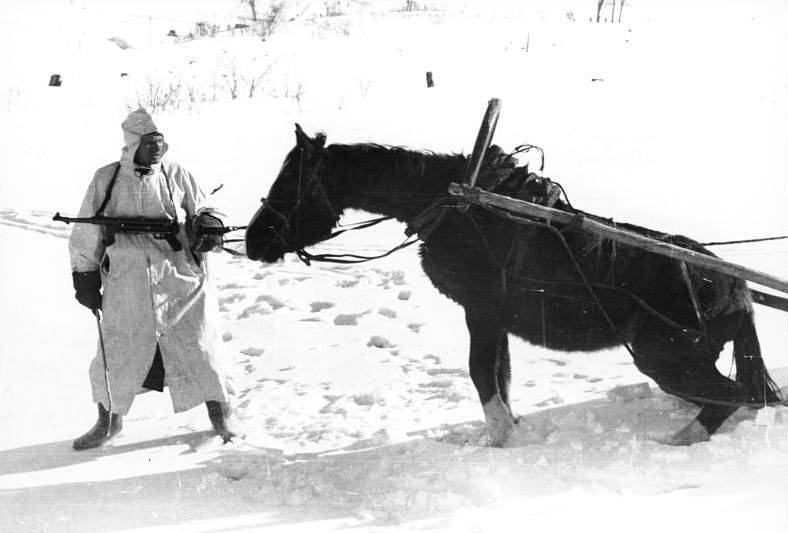– Zvířata musela často pracovat ve velmi nehostinných podmínkách, zde německý voják pobízí koně, který táhne sněhem objemný náklad během ruského tažení.