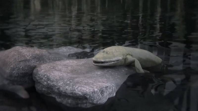 Takto mohla pravěká ryba postupně přecházet z vody na souš, počítačová animace