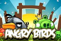 Počítačová hra Angry Birds.