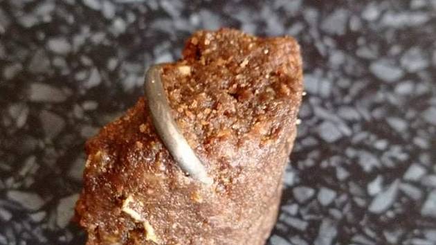 Hřebík zalisovaný v granuli