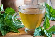 Kopřivový čaj pomáhá při nachlazení a problémech s ledvinami.