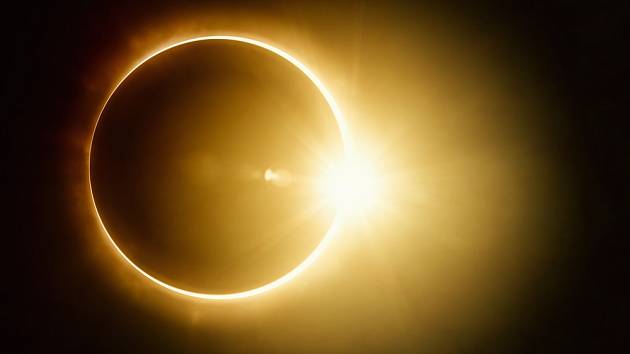 Une éclipse solaire affecte la nature.  Les animaux et les plantes se comportent étrangement avec lui