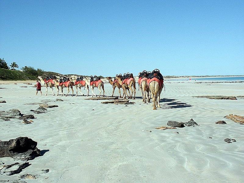 Australská Cable Beach je známá nejen průzračnou vodou, ale také procházkami na velbloudech.