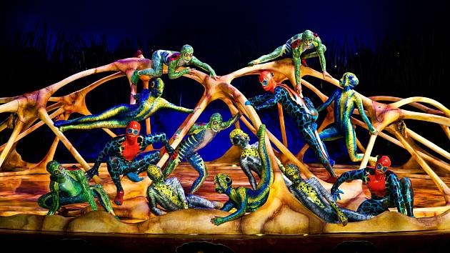 Cirque du Soleil Entertainment Group má v současné době přes 4 000 zaměstnanců, mezi které patří i 1 400 umělců z 50 zemí