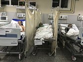 Pacient, který zemřel na nový koronavirus, leží (uprostřed) mezi ostatními pacienty s covidem-19 v jedné místnosti v městské nemocnici Salgada Filha v brazilském Riu de Janeiro (na snímku z 24. května 2020)