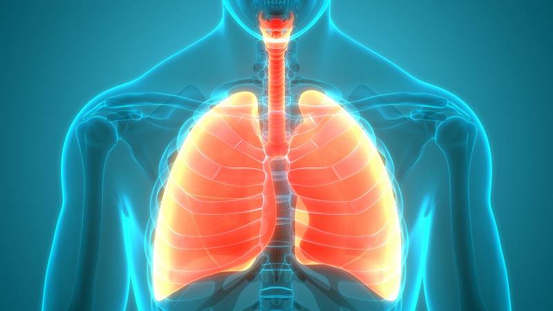 Hlavním rizikovým faktorem pro vznik a rozvoj chronické obstrukční plicní nemoci (CHOPN) je aktivní i pasivní kouření cigaret a znečištěné životní prostředí.