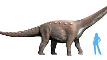 Mansourasaurus