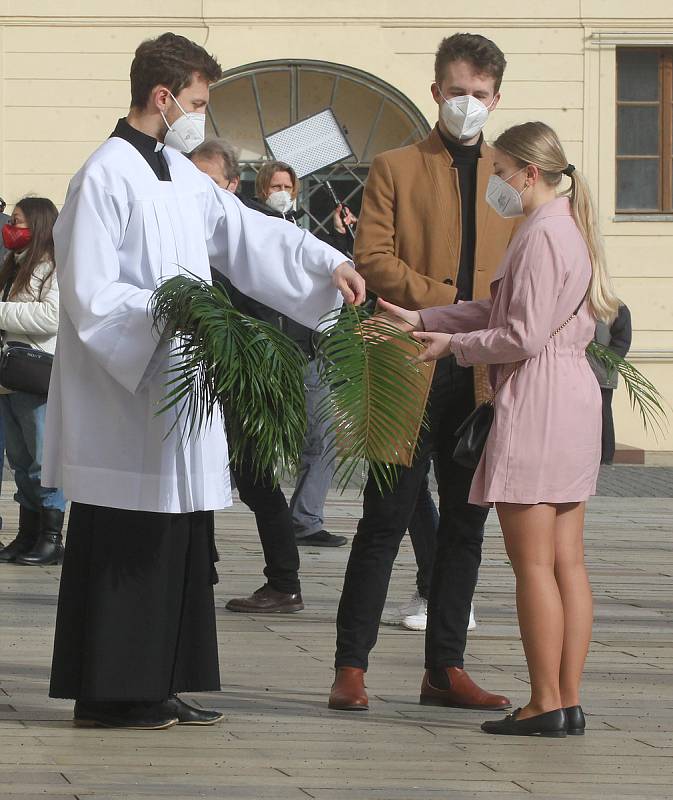 Požehnání kardinála Dominika Duky při příležitosti Květné neděle