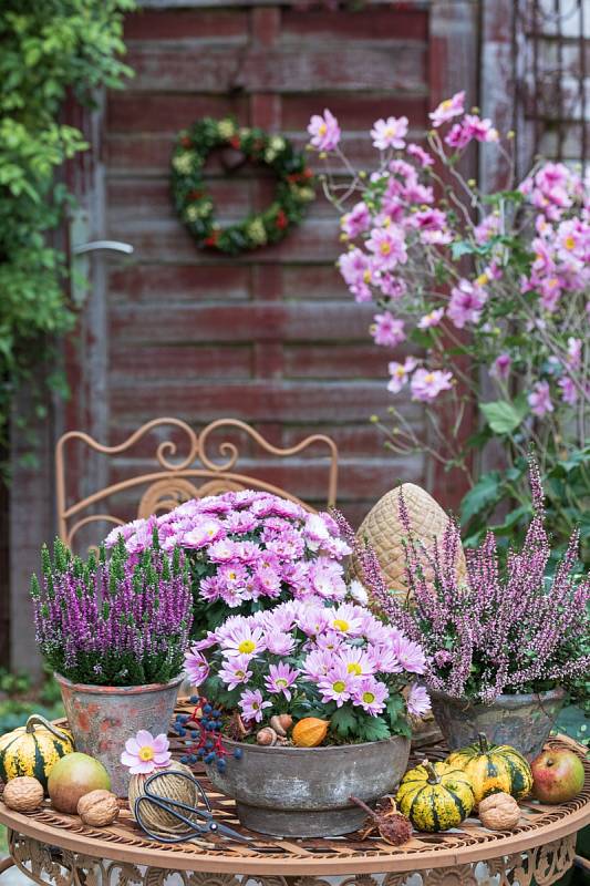 Podzimní výsadba nevytváří převis jako letničky, které nádobu zakryjí, proto byste měli při vytváření kompozice brát zřetel i na vzhled truhlíků a květináčů
