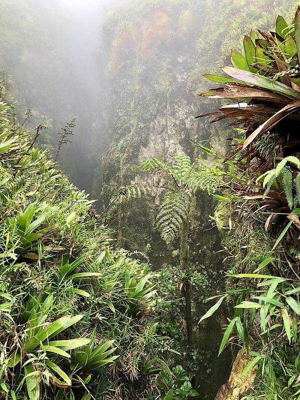 Stěny sopky La Soufriere vytvářejí spolu s deštným pralesem unikátní ekosystém